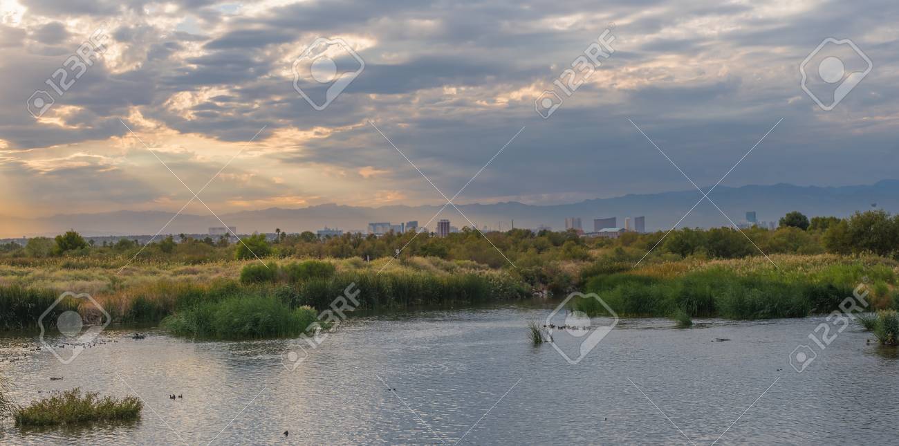 32-wetlands-background-wallpapersafari