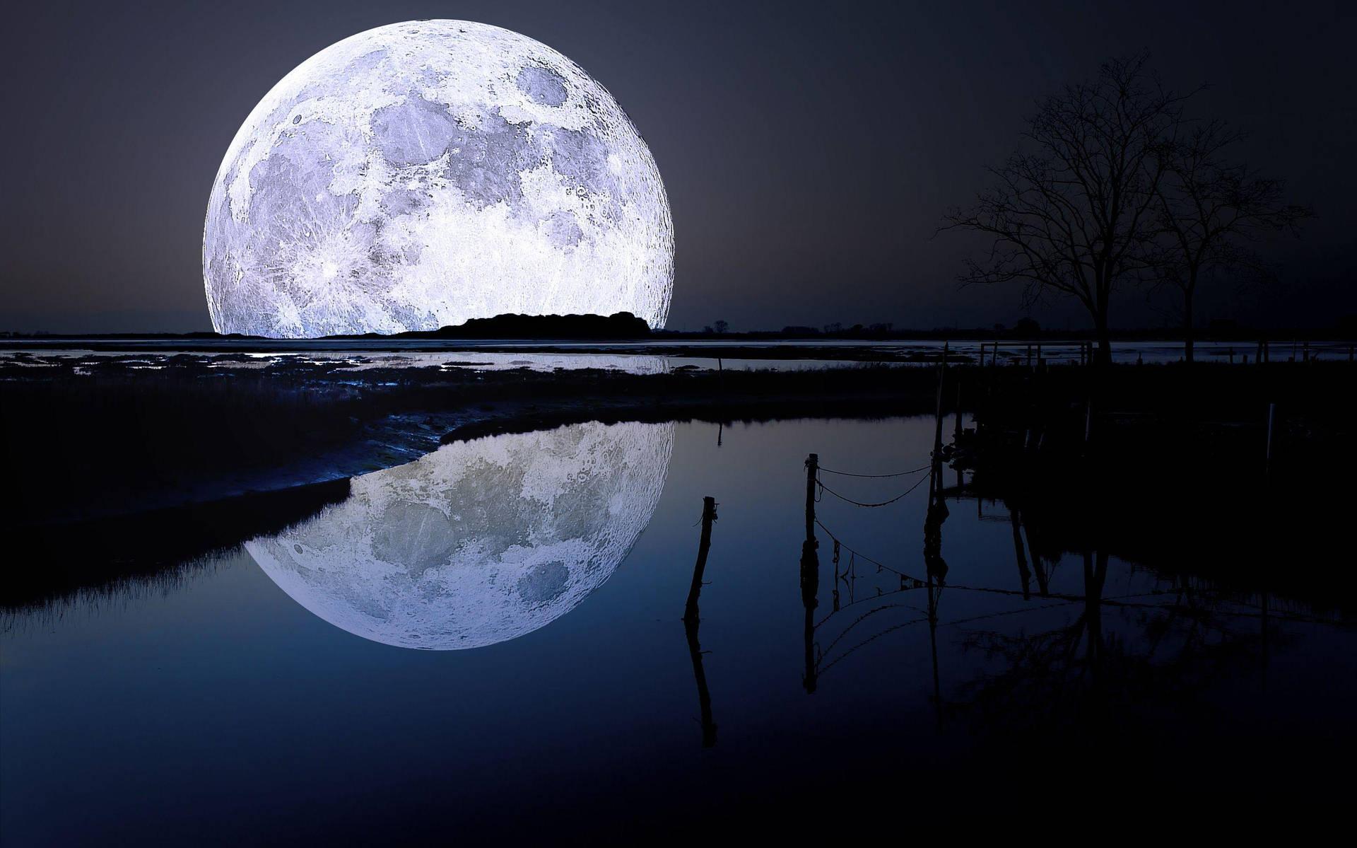 Discover more than 142 full moon wallpaper super hot - xkldase.edu.vn