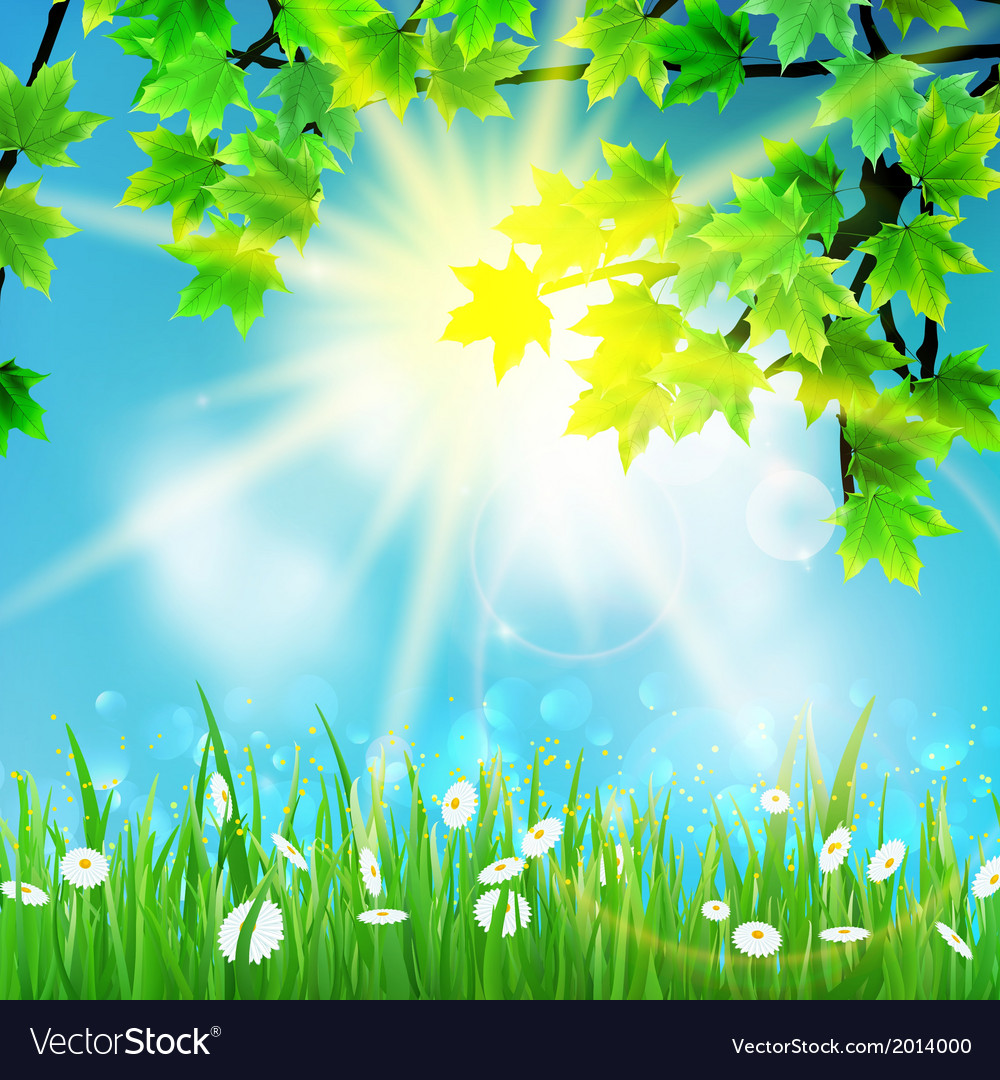 Summer Background With Sky And Grass Royalty Vector