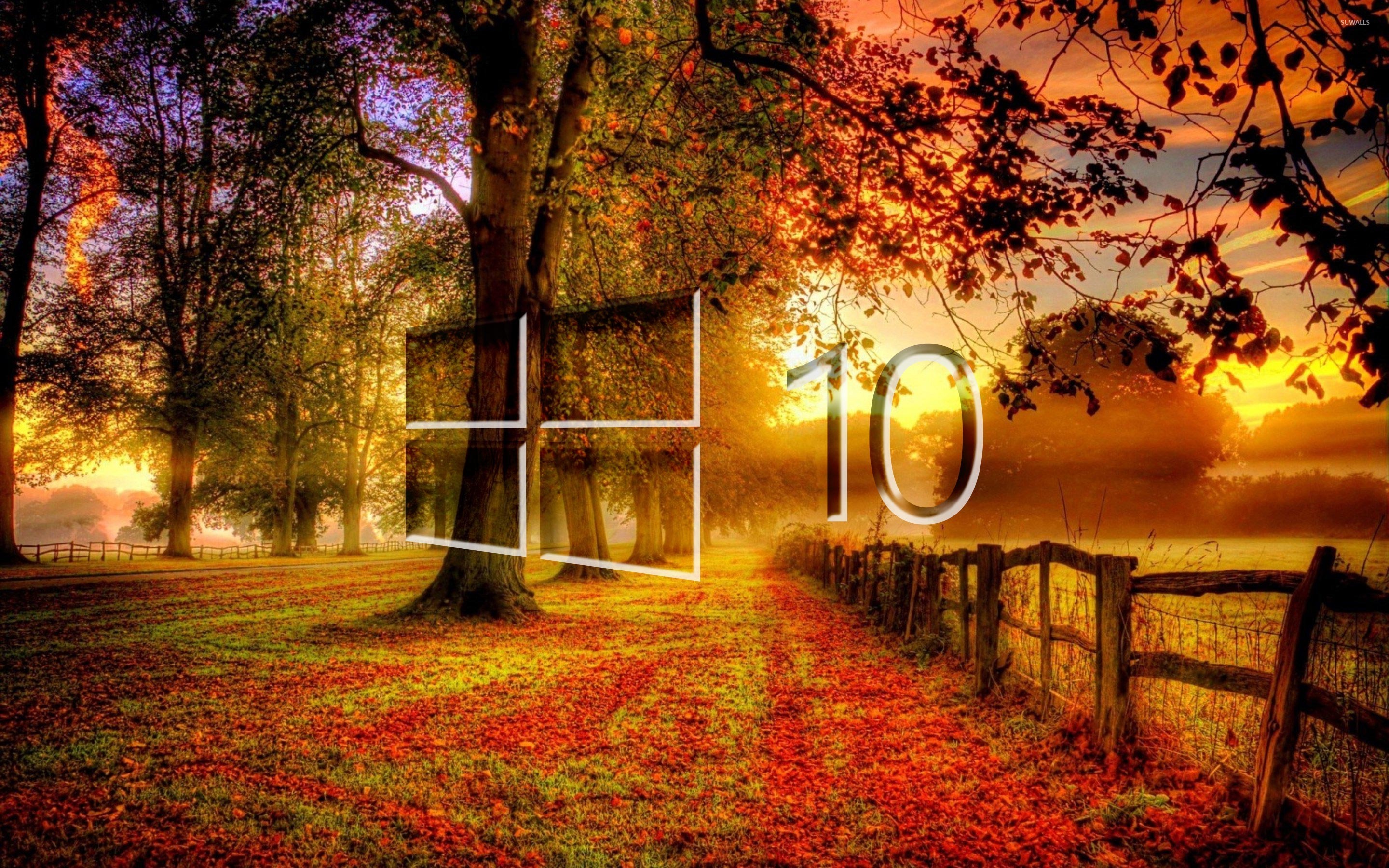 Windows In The Fall Glass Logo Wallpaper