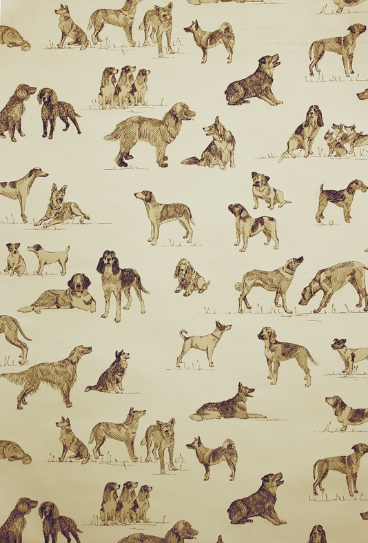 Wallpaper A Delightful Featuring Sketches Of Dogs On Camel