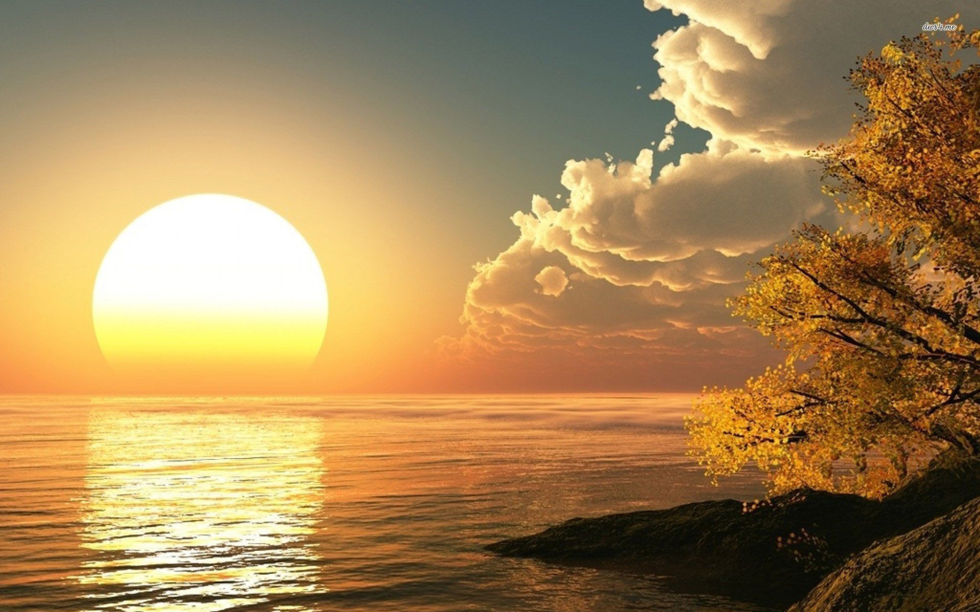 morning sunshine wallpaper hd