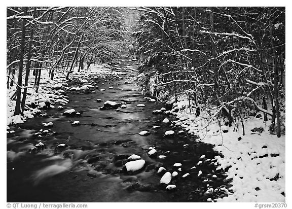 Snowy creek in winter Great Smoky Mountains National Park black and