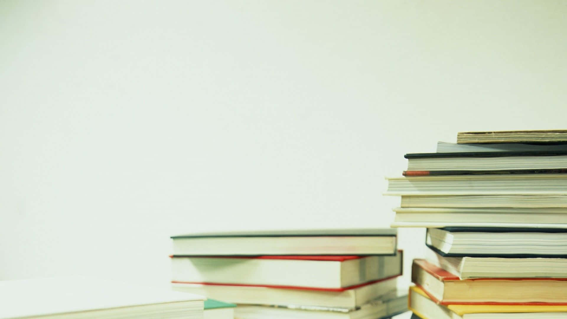 Educated In Reading Books Wallpaper