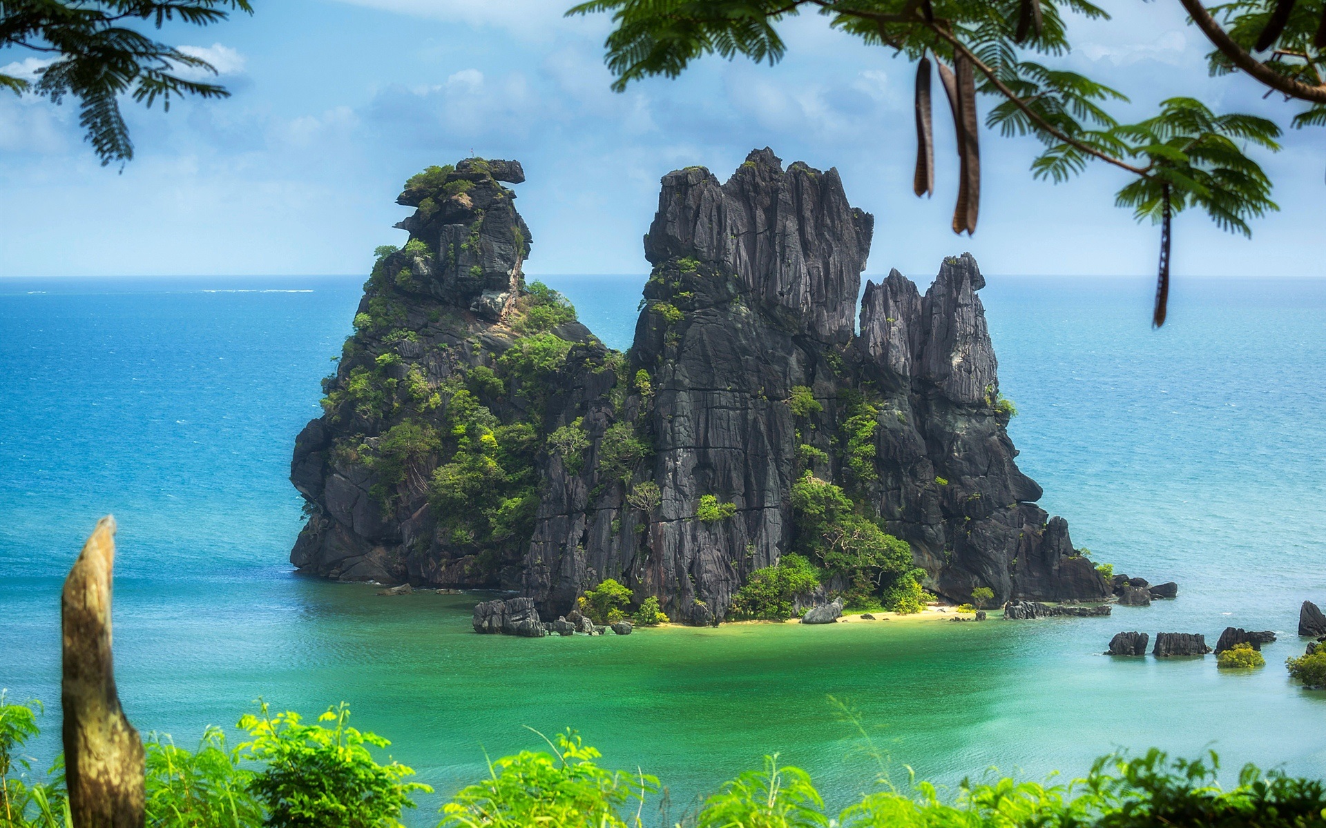 Wallpaper New Caledonia Pacific Ocean Island Trees Cliff