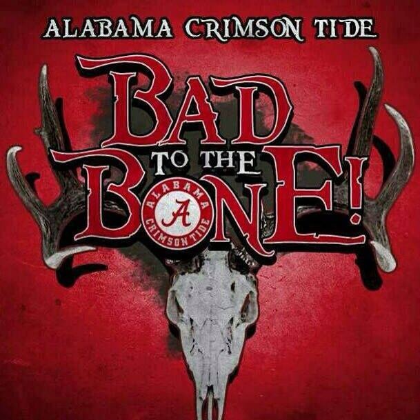 Bad To The Bone A Rtr