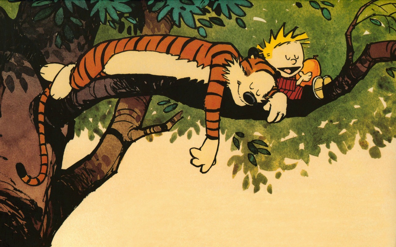 Awesome Calvin And Hobbes Wallpaper Daylol