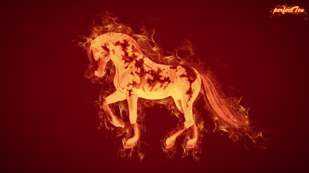 Wild Fire Horse Wallpaper By Perfectten10