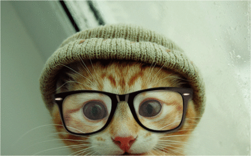 Nerd Cat With Glasses Hello Kitty Kawaii