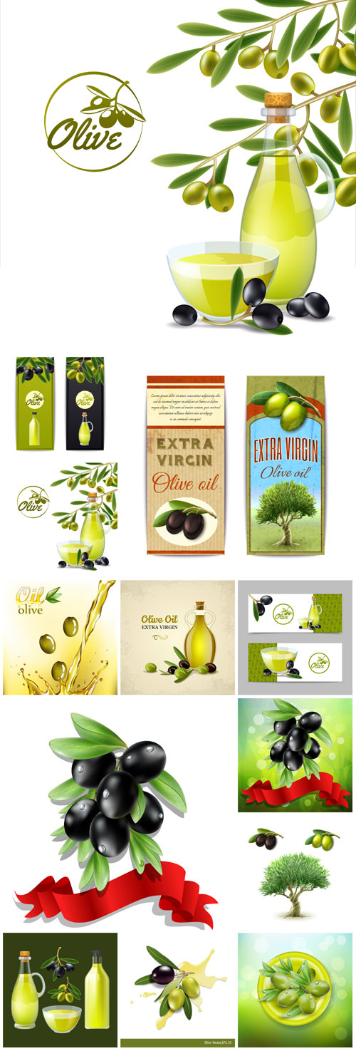 Olives And Olive Oil Background Vector Dengfx Graphic For