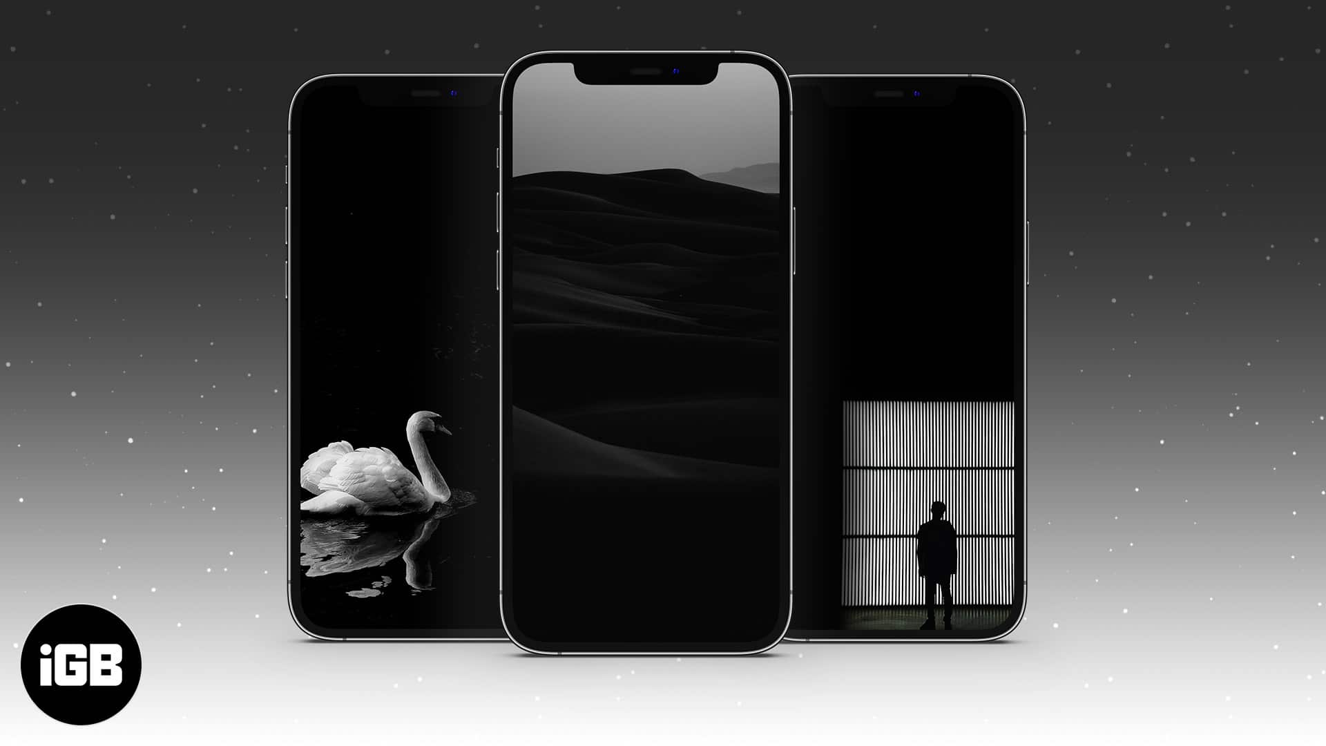 Beautiful Black Wallpaper For iPhone Igeeks