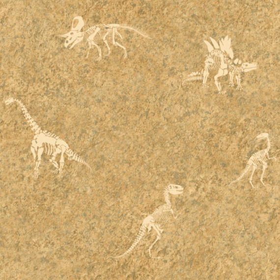 Candice Olson Tan Dinosaur Fossil Wallpaper Sale Kids Wall Decor