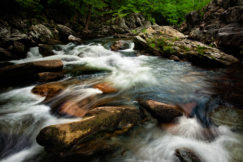 Smoky Mountain Stream In Spring Title