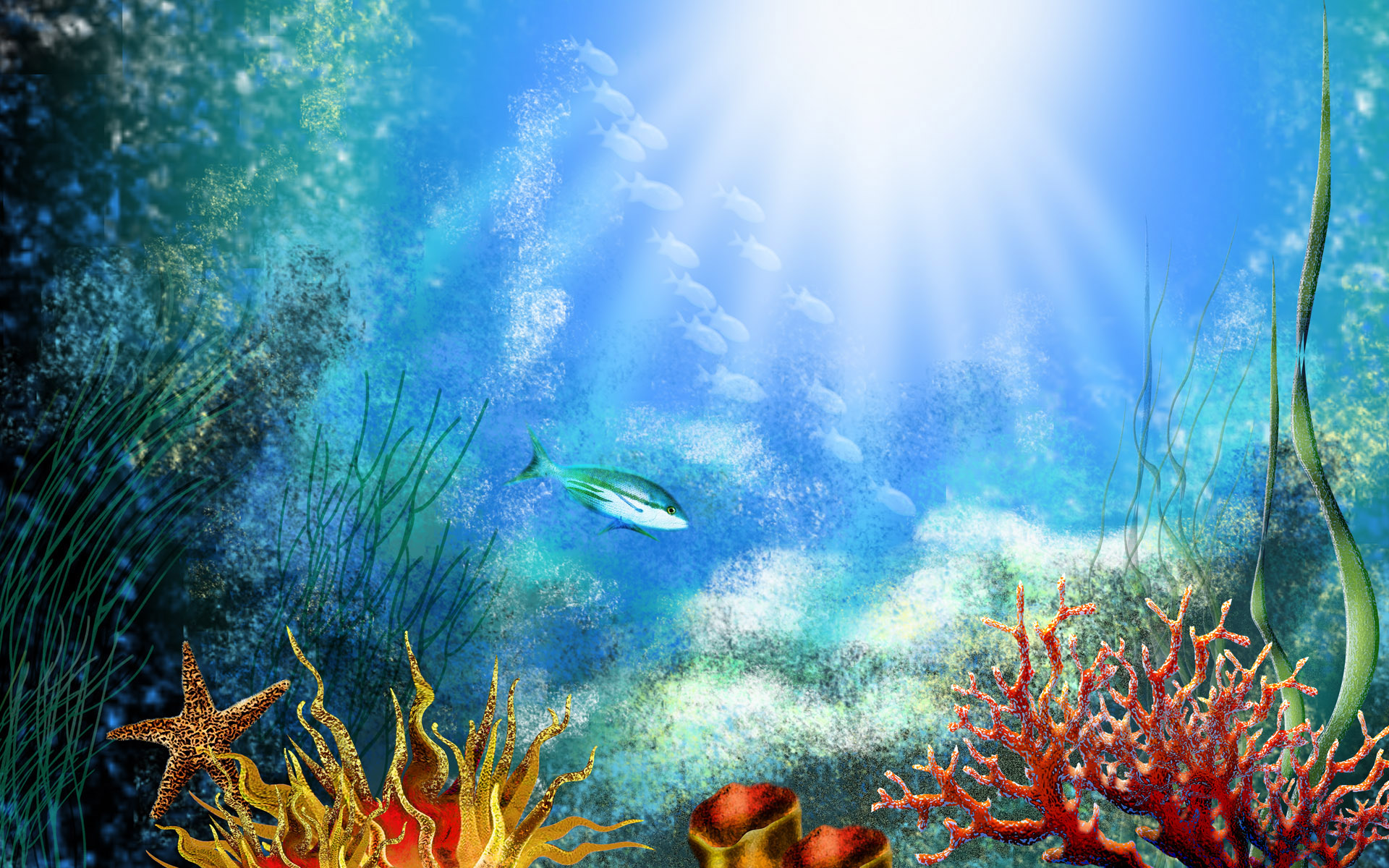 Aquarium Background Wares Attractive Wallpaper Water Animals