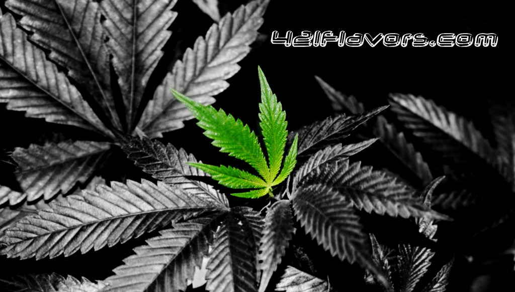 Cool Weed Marijuana Leaf Wallpaper Background JPG PSD