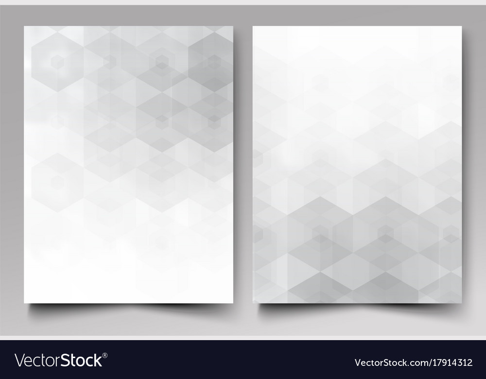 A Template Brochure Design Grey Background Vector Image