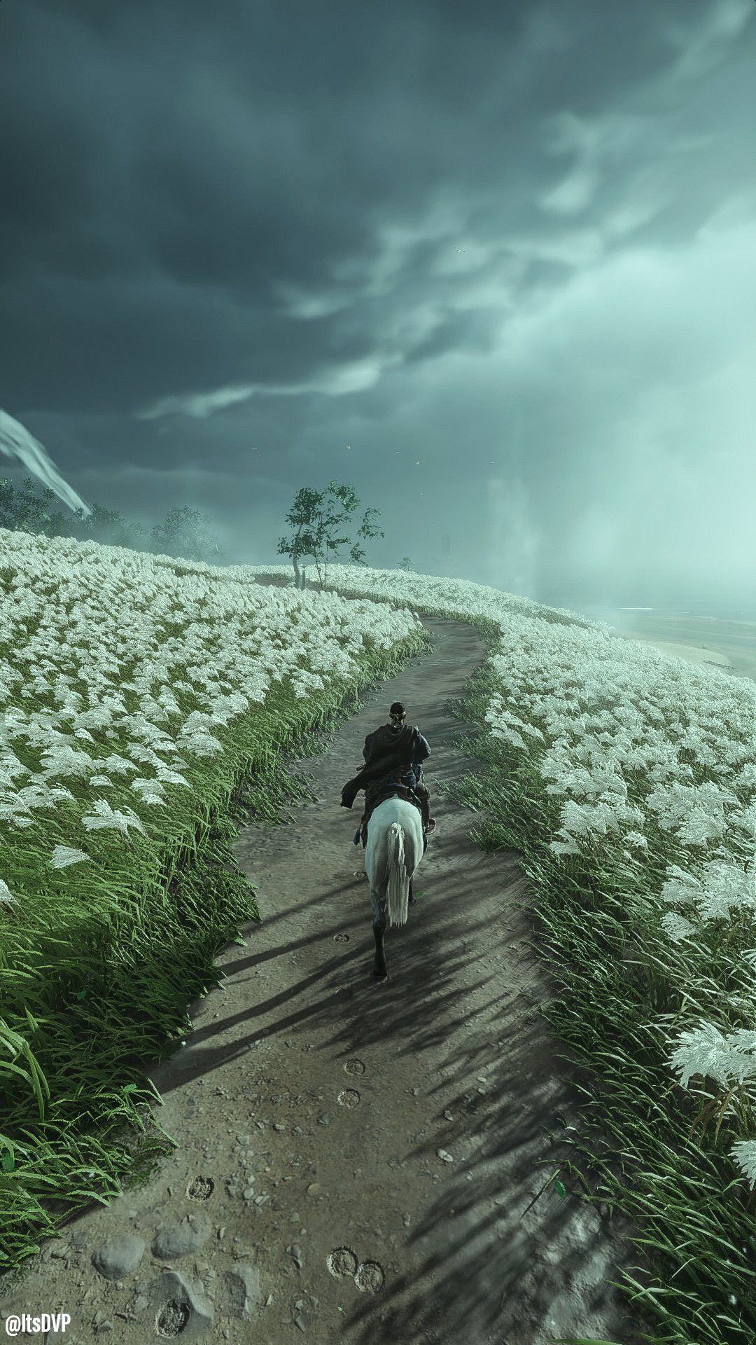 Ghost Of Tsushima HD Wallpaper