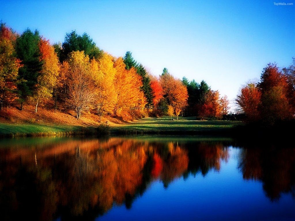 To Compatible Background Themes For Windows Next Image