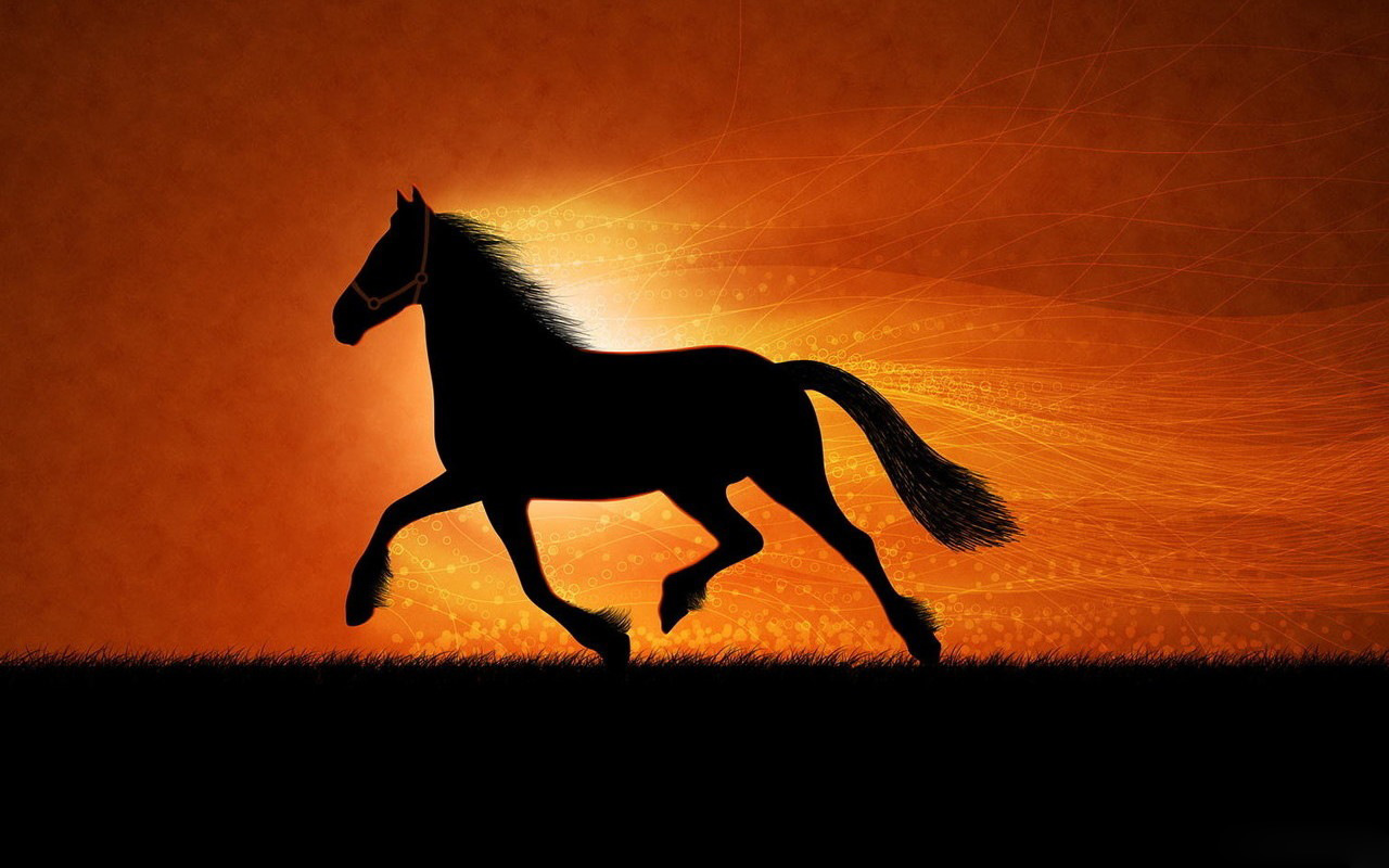 Running Horses Desktop Wallpaper