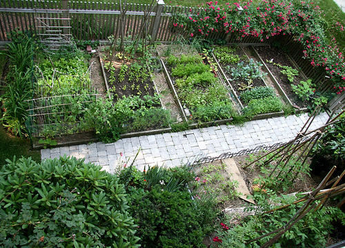Home Vegetable Garden Designs Wallpaper HD