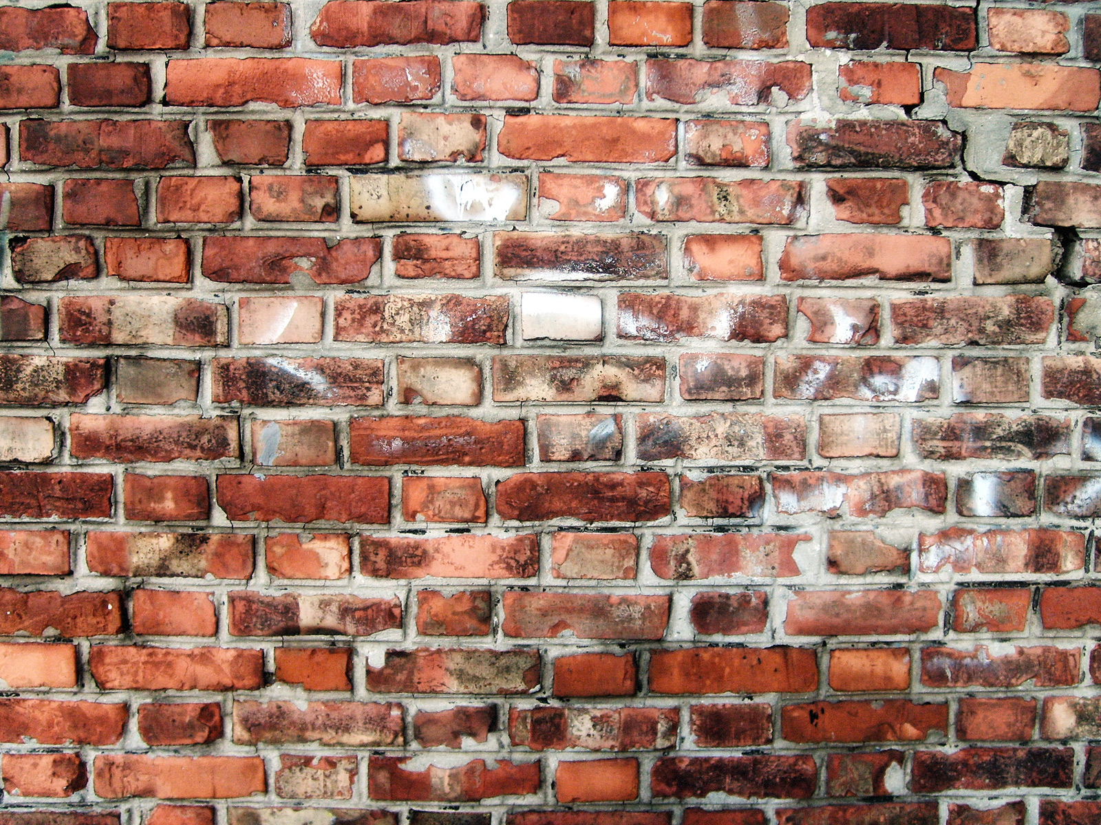 File Brick Wall In Flemish Bond Jpg Wikipedia The Encyclopedia