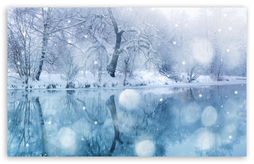 Winter Snowfall HD Desktop Wallpaper High Definition Mobile Dual
