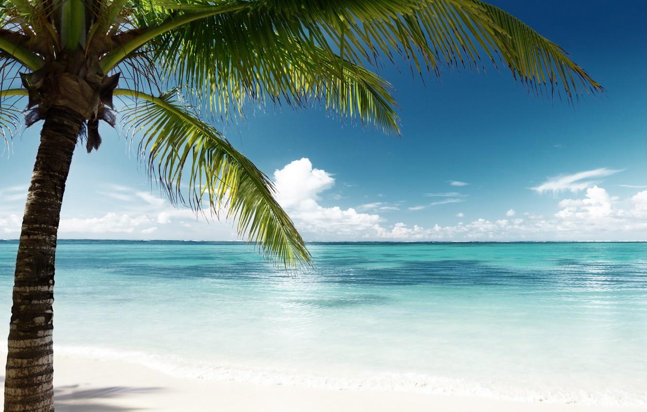 Wallpaper sand sea beach the sun palm trees shore island