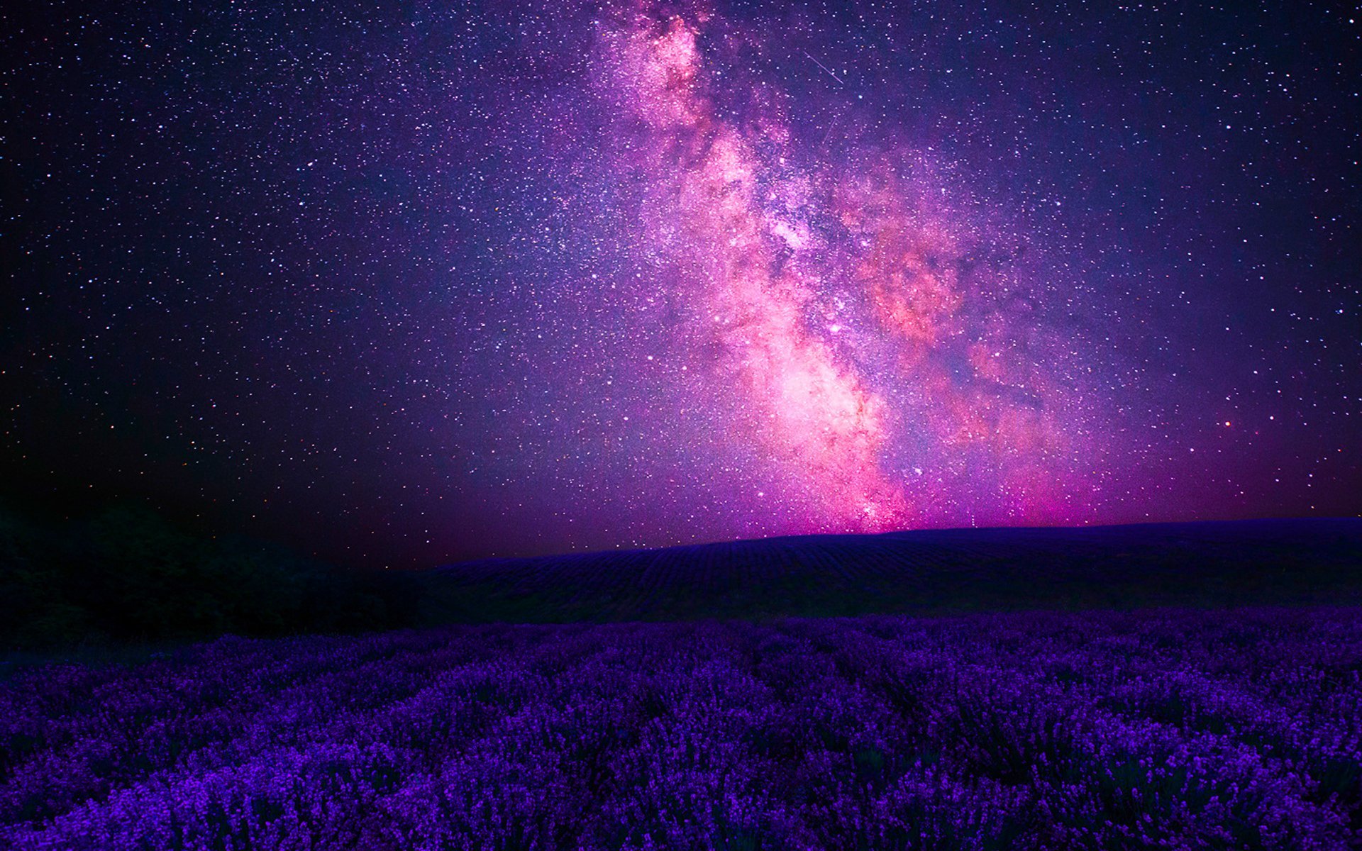 Pink Galaxy over Lavender Field Full HD Wallpaper and