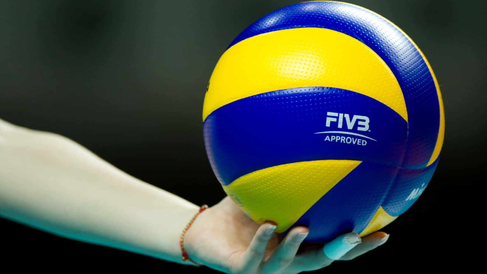 Volleyball Ball Wallpaper