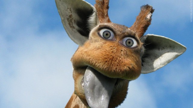 Funny Giraffe Desktop Wallpaper Background