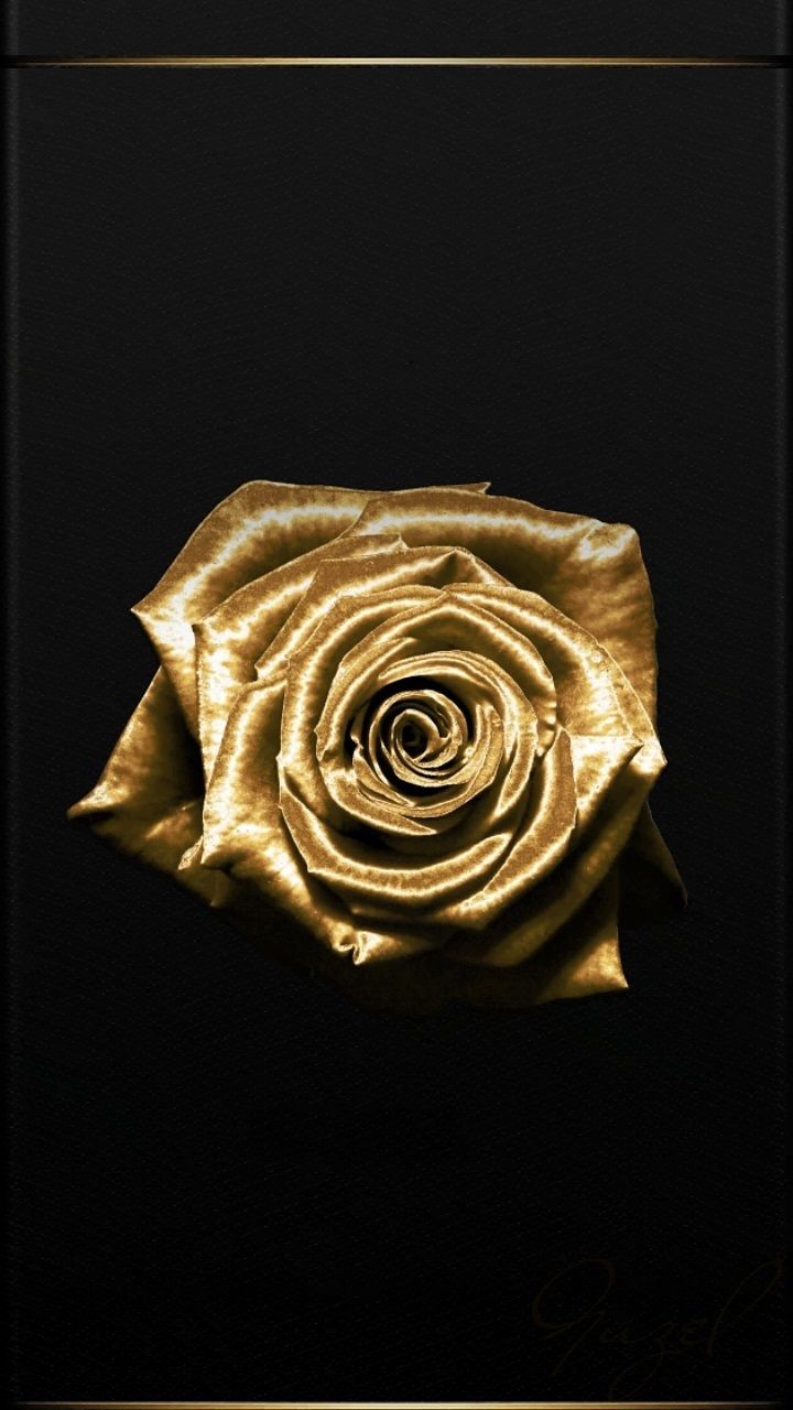 Guzel On Made By Wallpaper