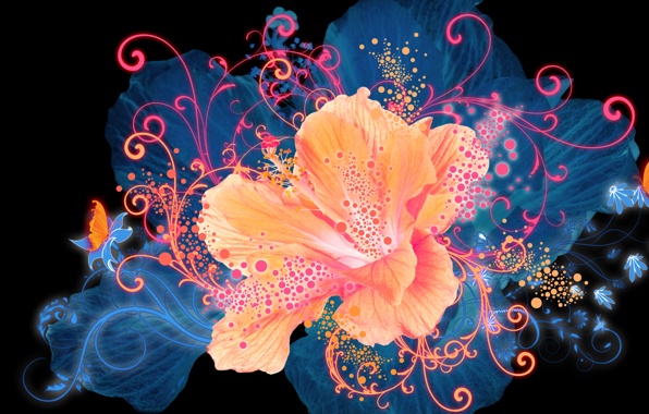 Wallpaper Flower Graphics Glow Flowers