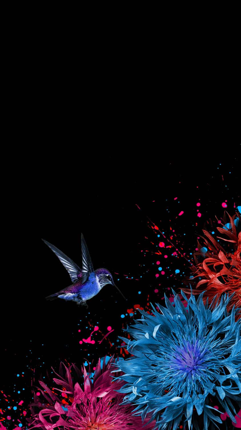 Bird iPhone Wallpaper