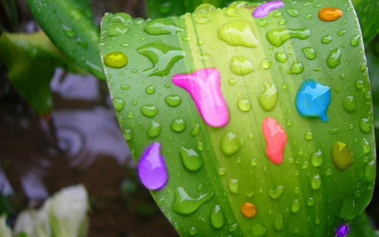 RainDrops   Bright Colors Wallpaper 18125673