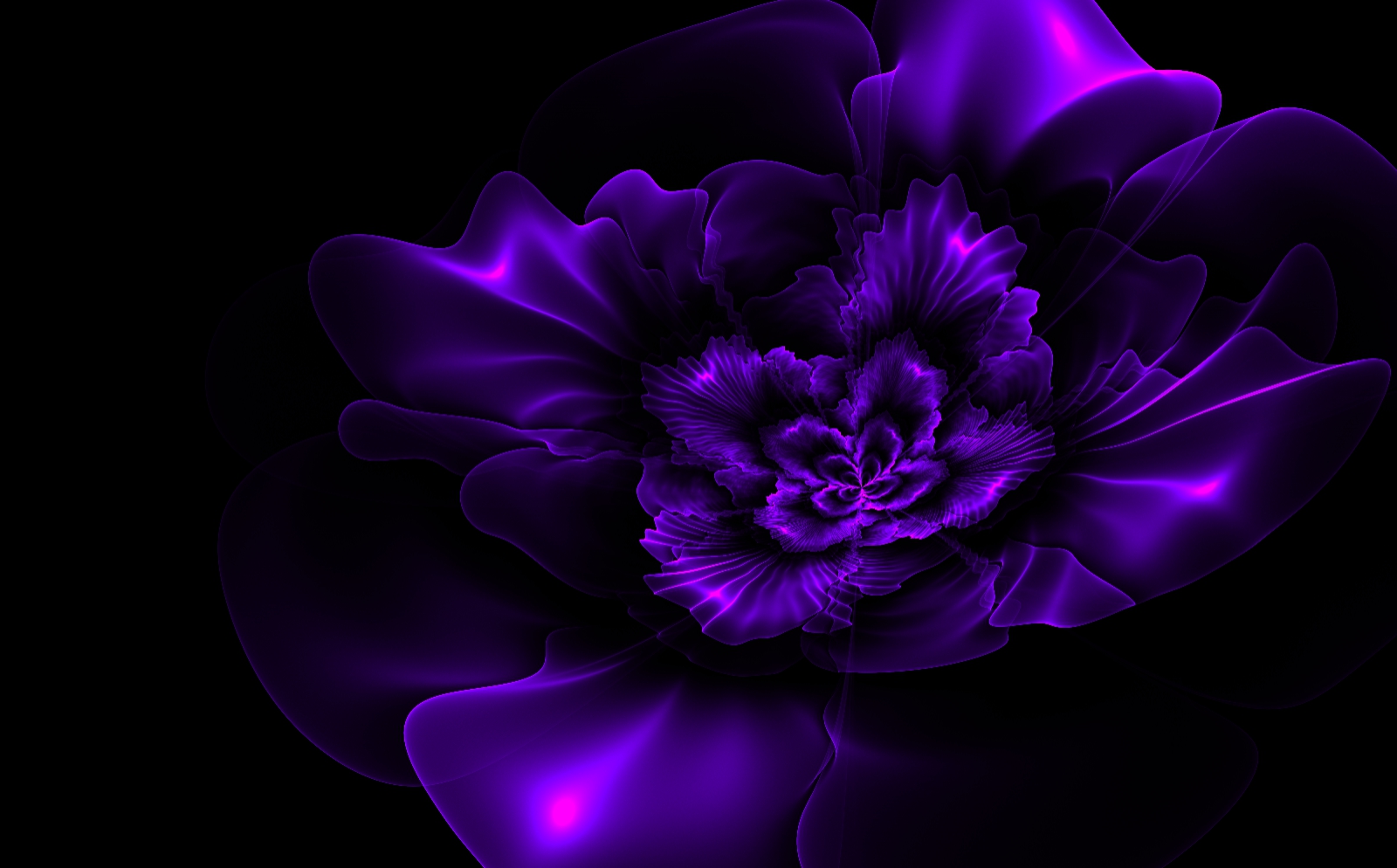 Dark Purple Fractal Flower Wallpaper