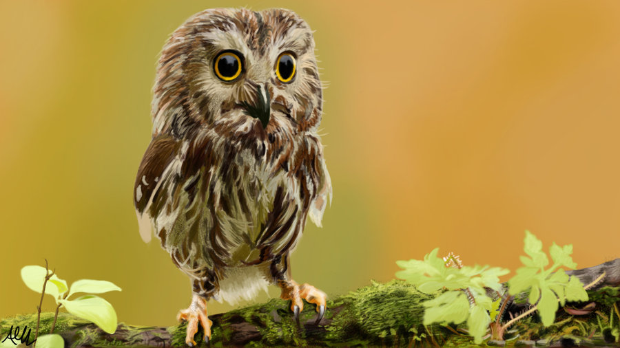 Baby Owl By Modernerd
