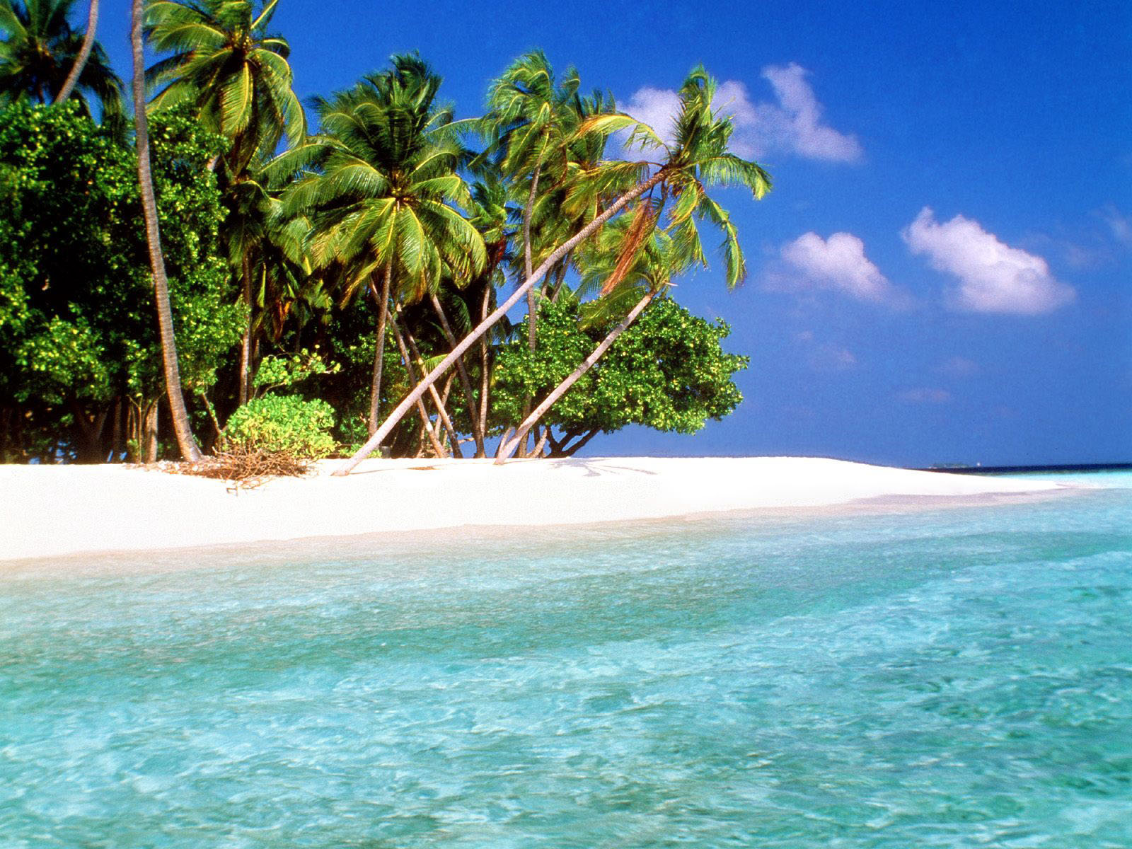 Exotic Islands Maldives HD Wallpaper