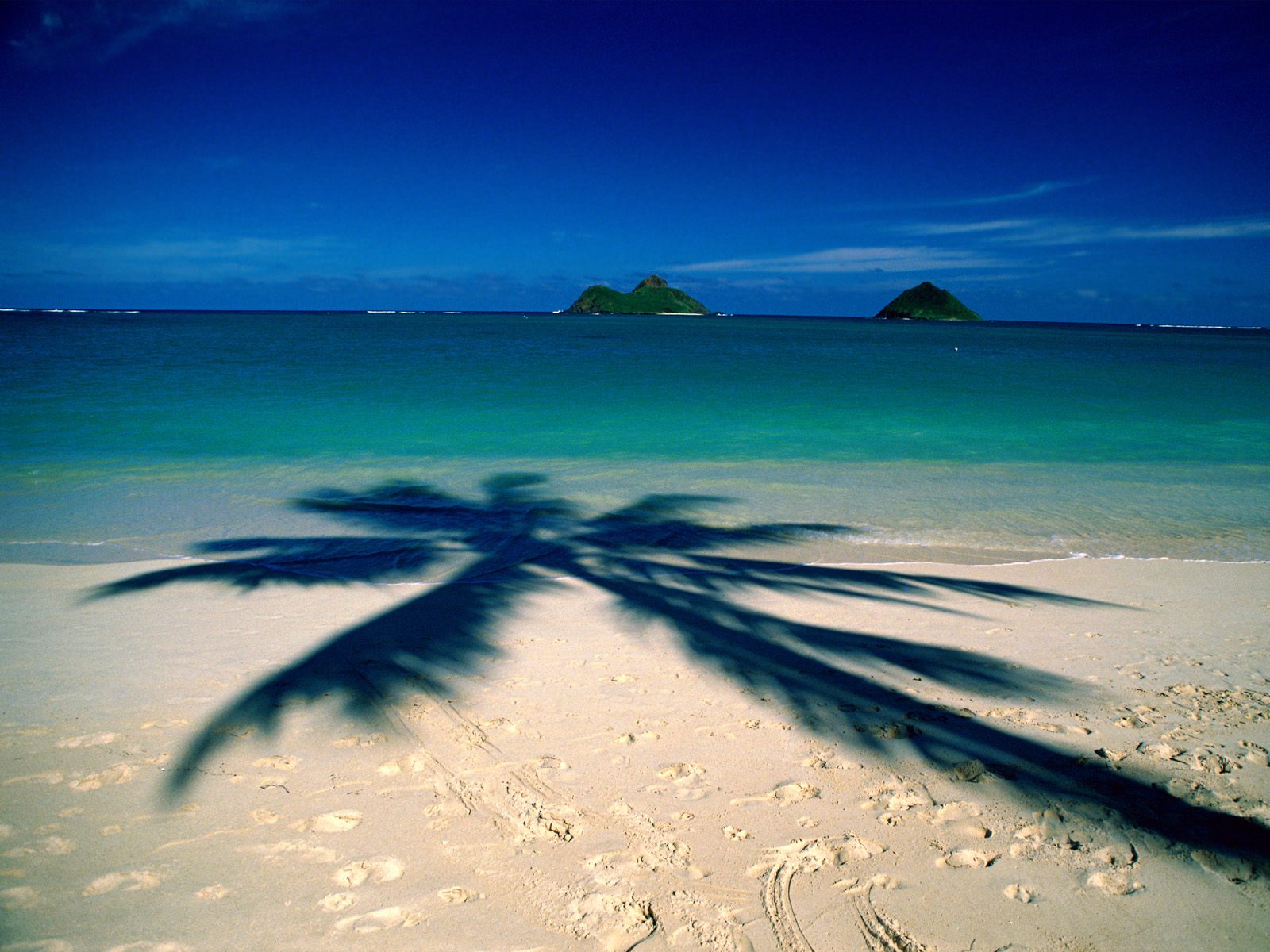 Hawaii Id Beaches Rivers Oceans Photography Desktop