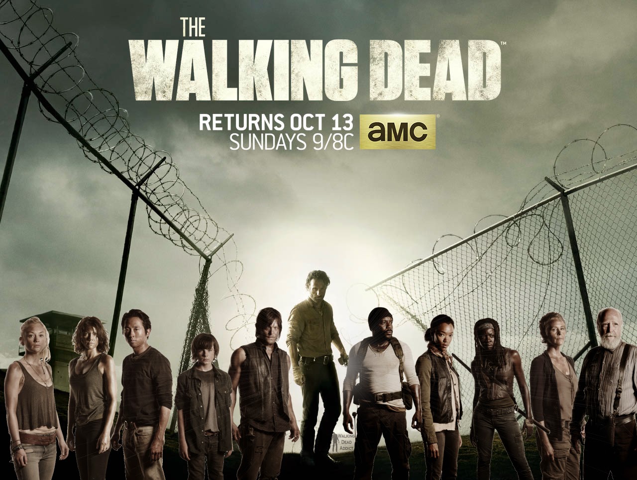 Walking Dead Todas Las Temporadas Audio Latino The