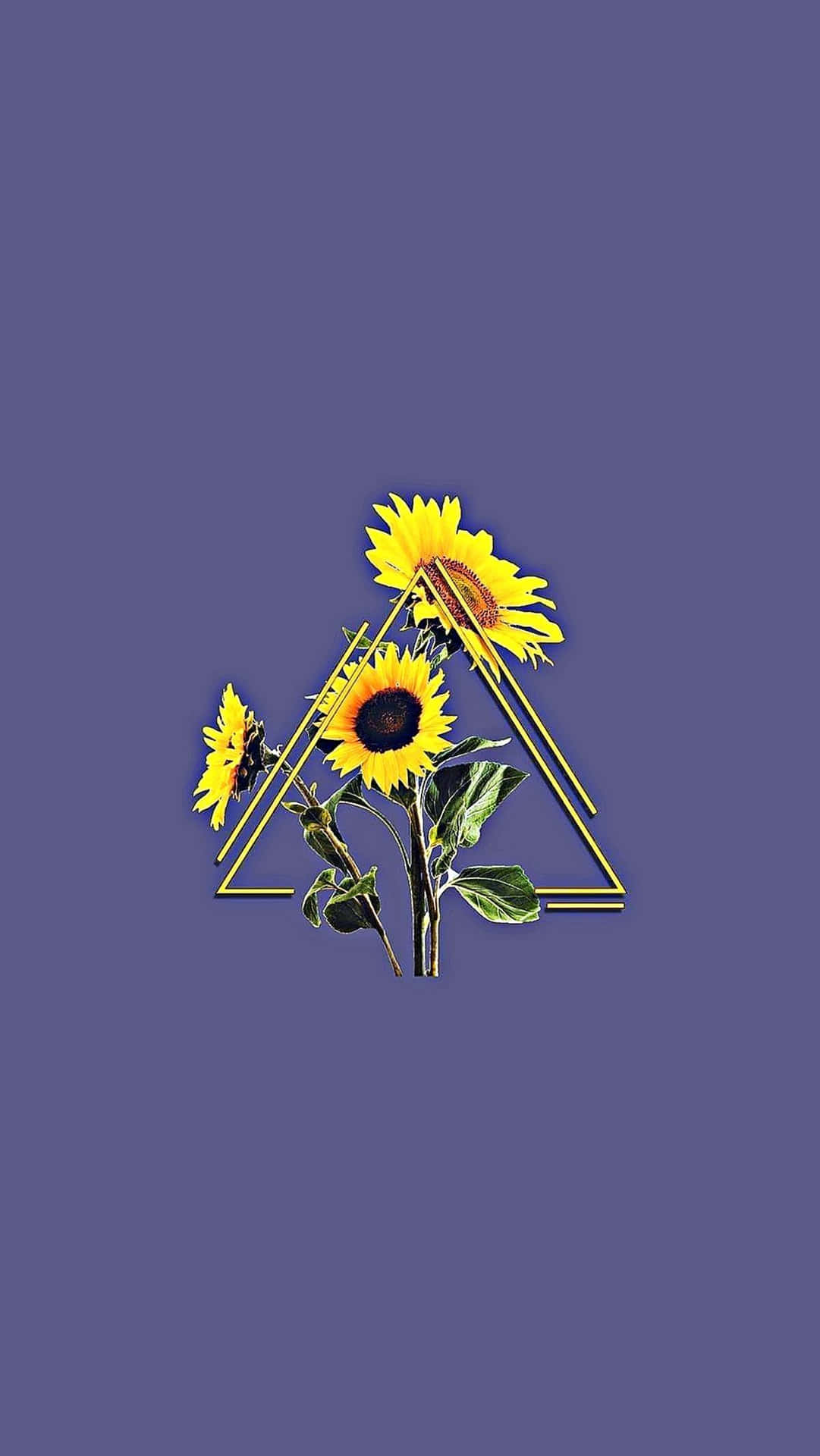 Sunflower Yellow Aesthetic Wallpaper