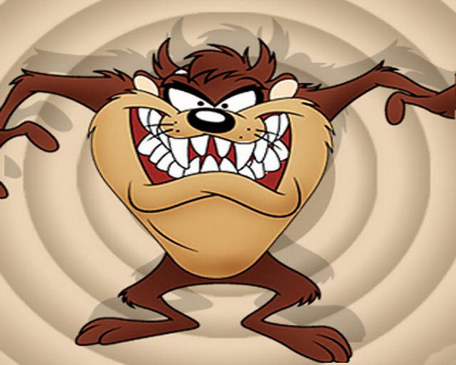 Looney Tunes Tasmanian Devil Photos HD Wallpaper Image Pictures
