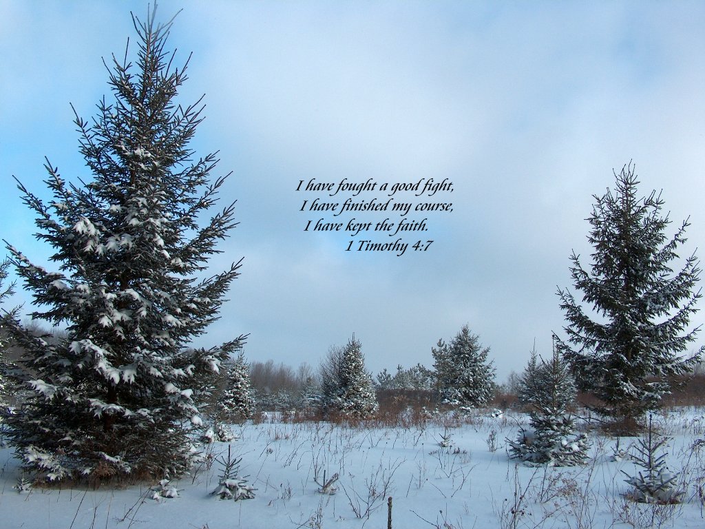 Winter Scripture Wallpaper Wallpapersafari