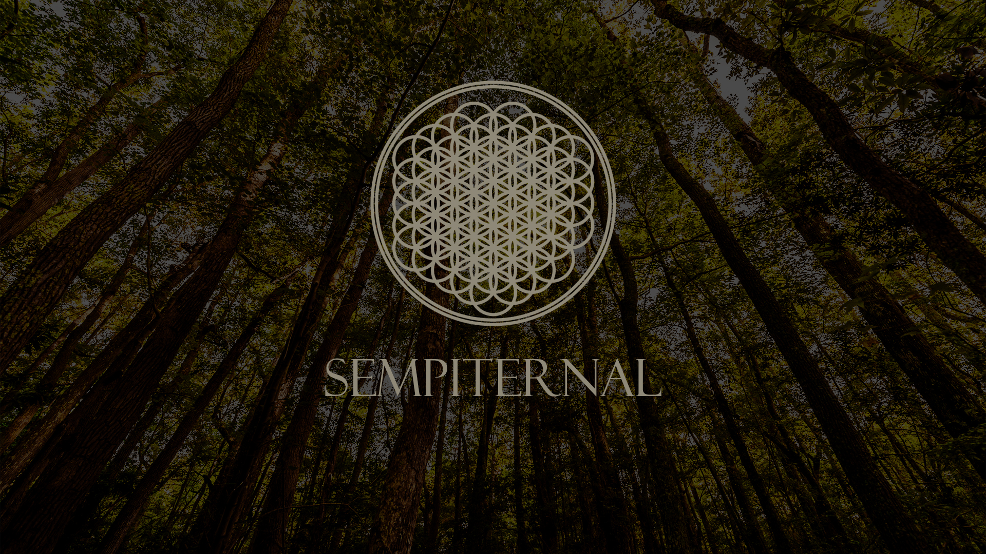 Bring Me The Horizon Wallpaper