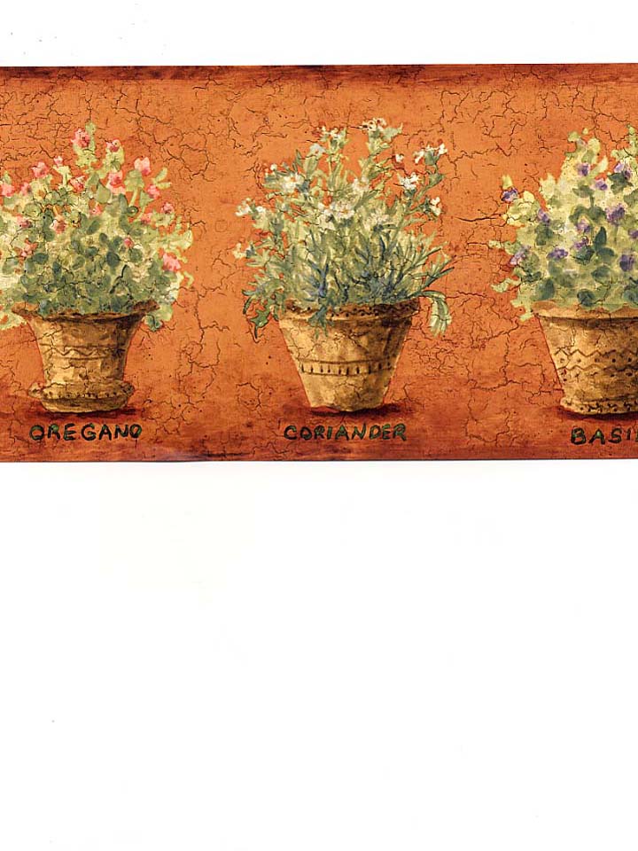 Discount Wallpaper Borders Children S