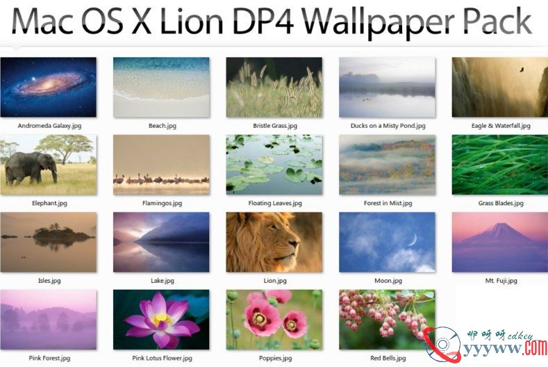 Mac Os X Lion Developer Pre