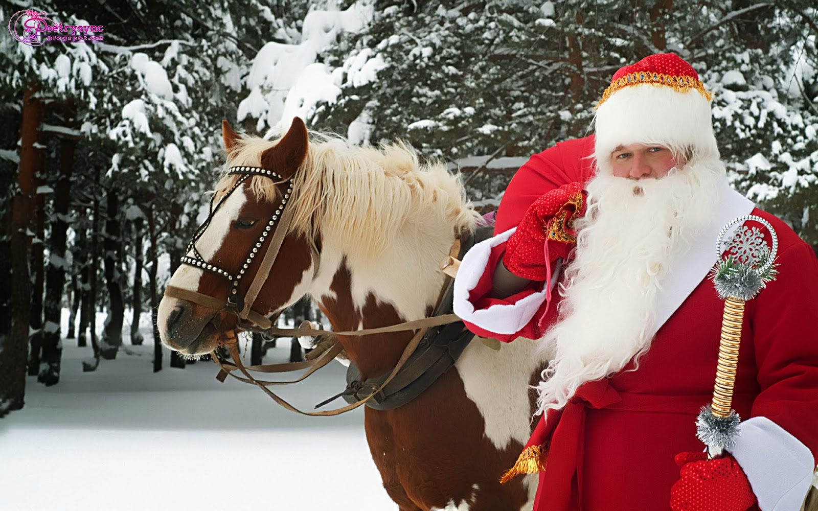 Merry Christmas Santa Claus Wallpaper In Snow With Horse