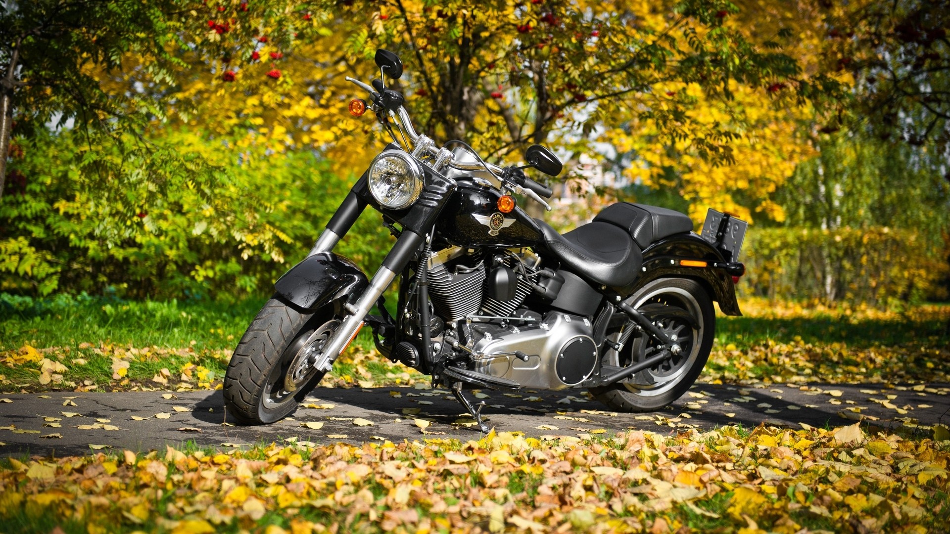 Harley Davidson Bikes Natural Desktop Full HD Wallpaper