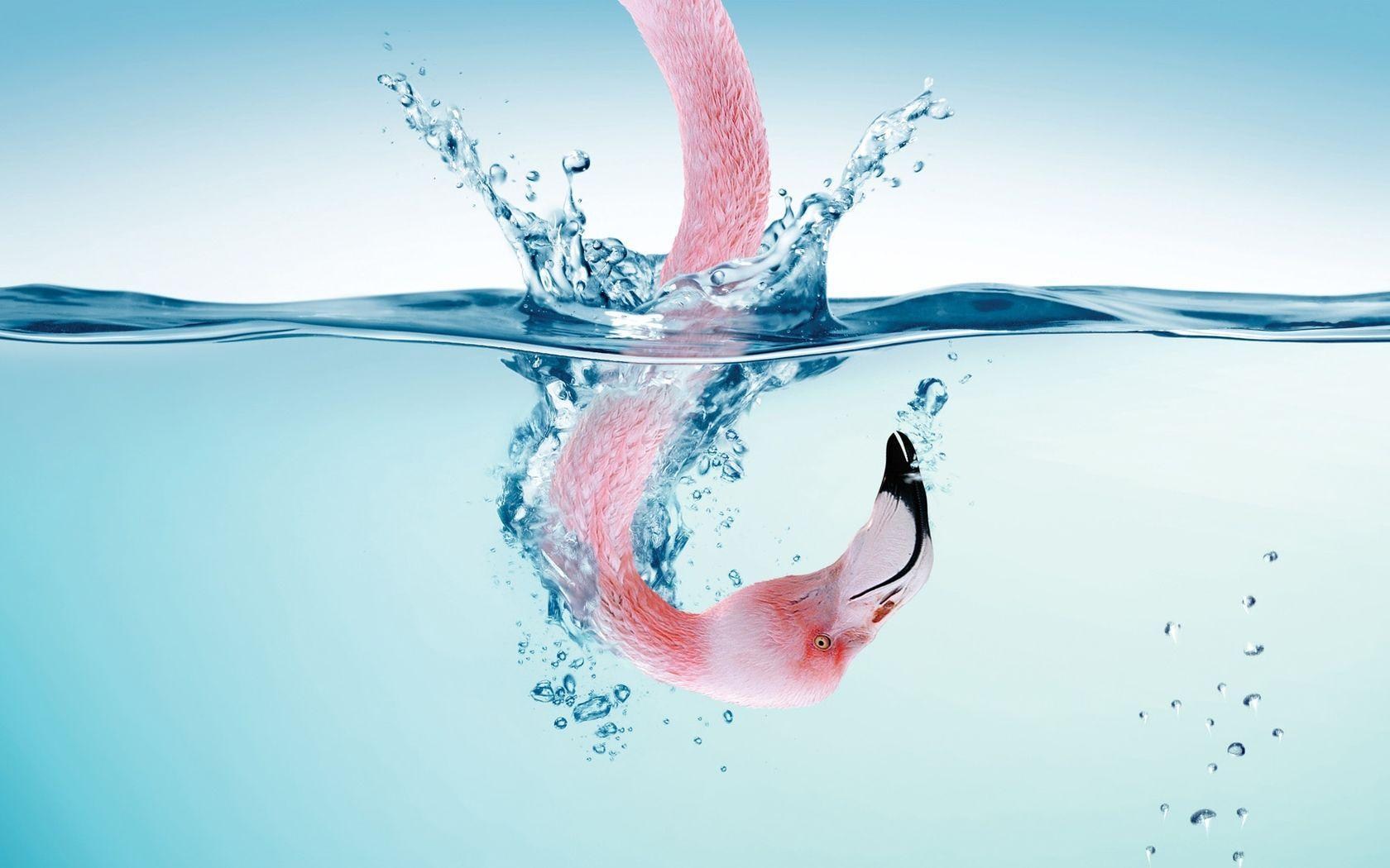 Water Splash Wallpaper