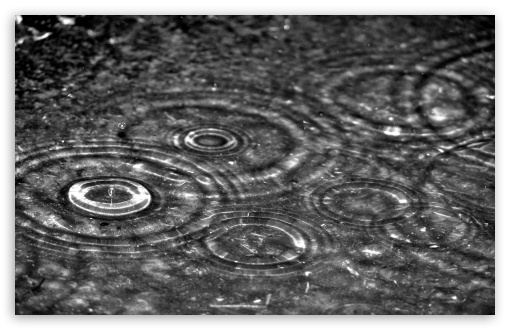 Rainy Black And White Day HD desktop wallpaper Widescreen High