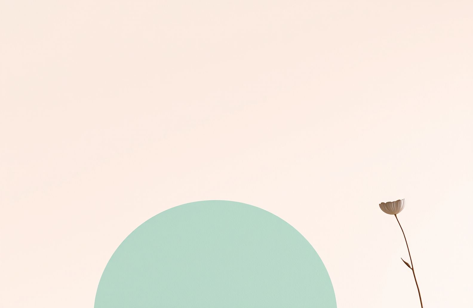 Minimalist Aesthetic Wallpaper